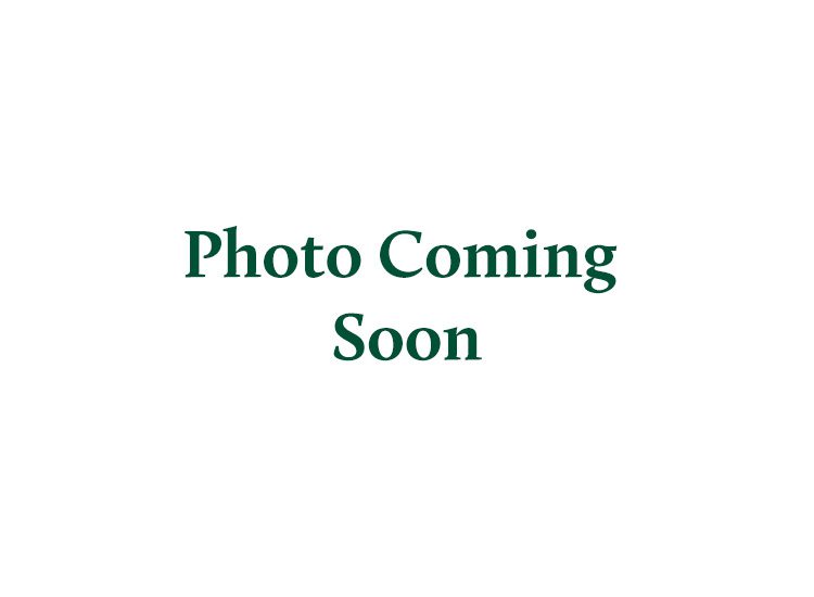 Photo coming soon